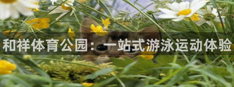 JJB竞技宝官网下载官方客服电话:和祥体育公园:一站式游泳运