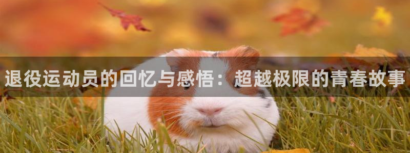 JJB竞技宝官网下载平台是正规平台吗安全吗:退役运动员的回忆