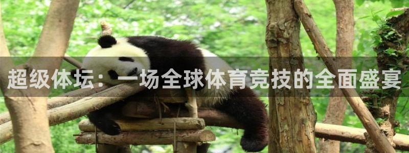 JJB竞技宝官方正版app娱乐:超级体坛:一场全球体育竞技的