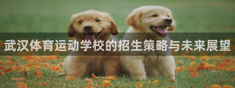 JJB竞技宝官方正版app科技:武汉体育运动学校的招生策略与