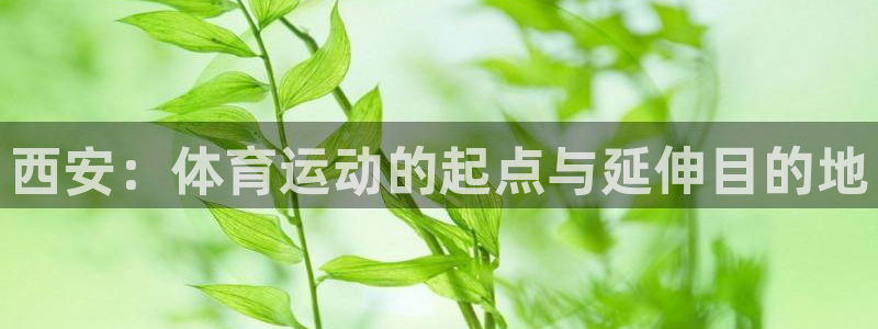JJB竞技宝官方正版app娱乐是那个系列的台子:西安:体育运