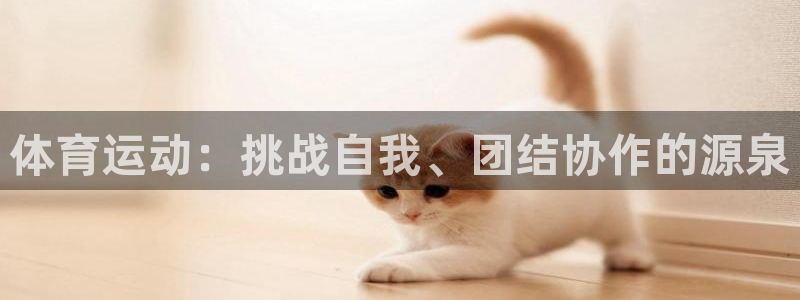 JJB竞技宝官网下载平台注册要钱吗:体育运动:挑战自我、团结