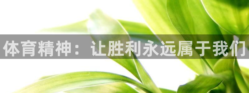 注册JJB竞技宝官方正版app:体育精神:让胜利永远属于我们